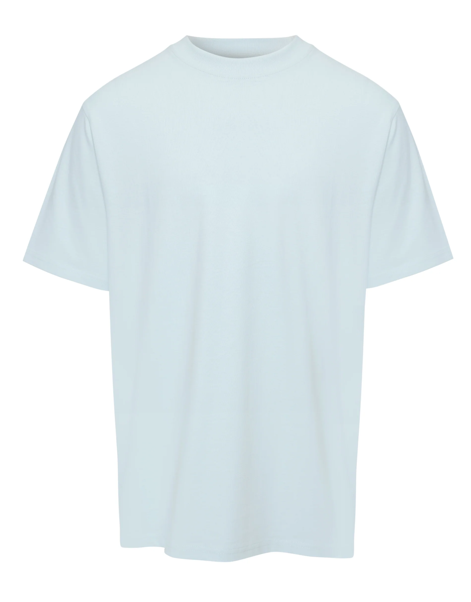 Relaxed Fit Peached Cotton T-Shirt in Light Blue - Image 5