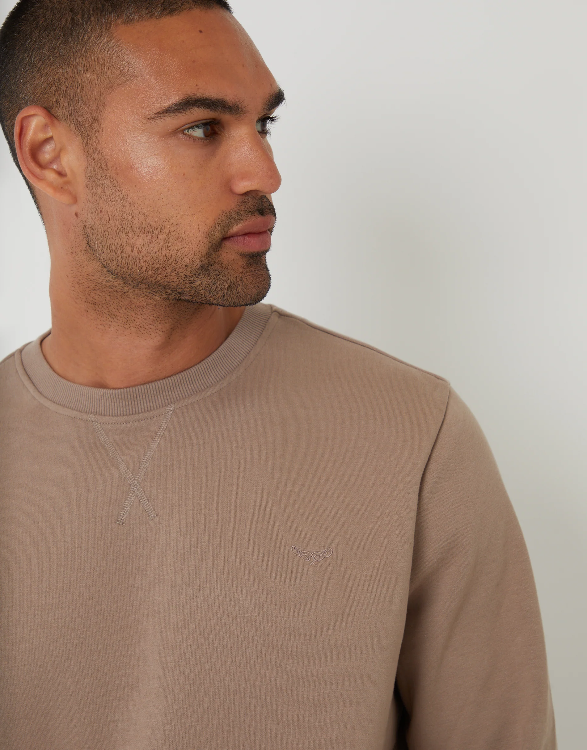 Crew Neck Sweatshirt in Taupe - Image 4