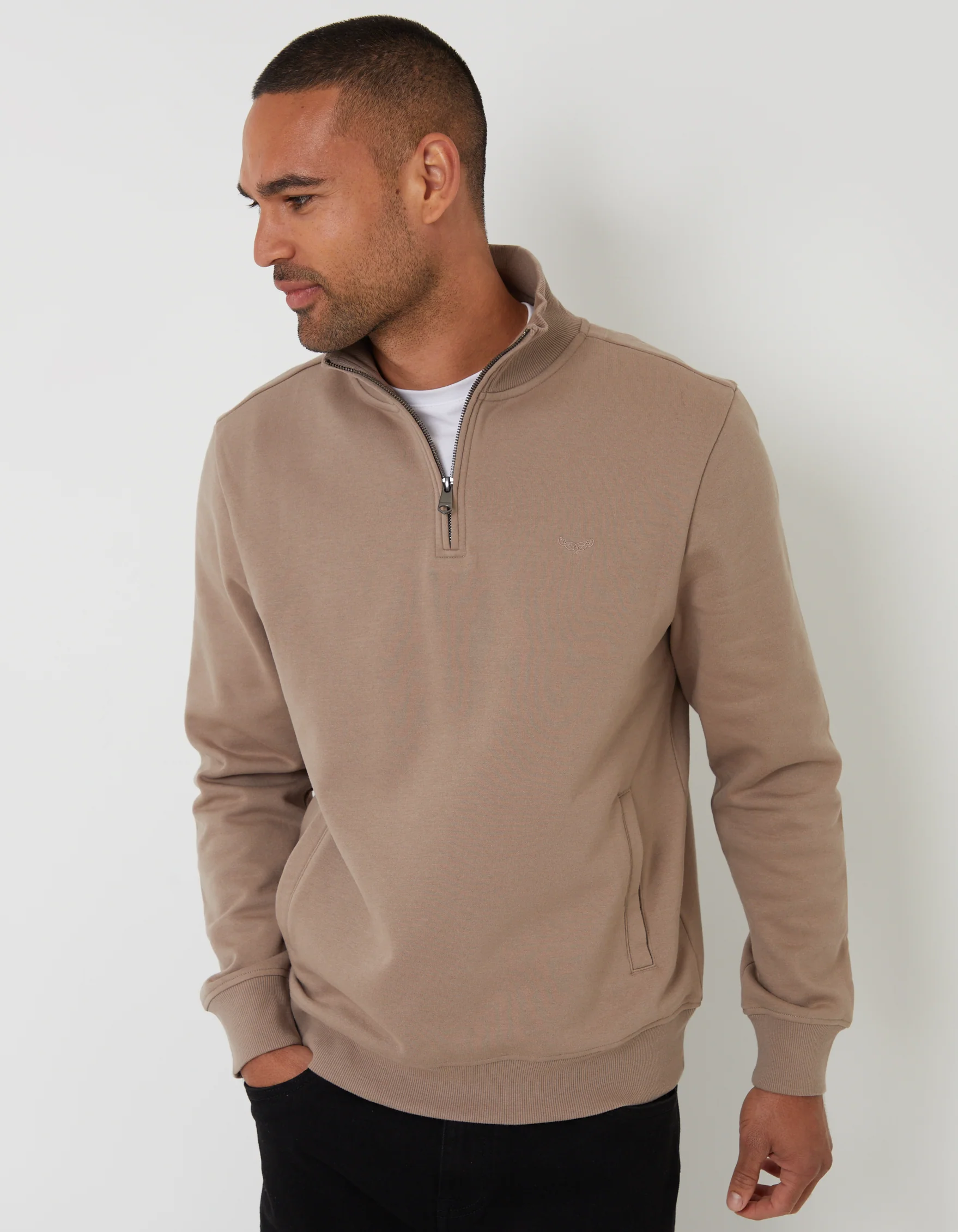 Quarter Zip Sweatshirt in Taupe